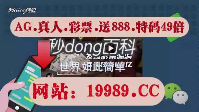 2024澳门天天开彩正版免费资料|精选解释解析落实超级版170.330