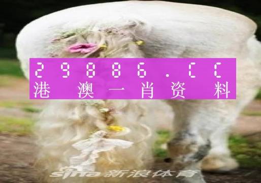 澳门火麒麟一肖一码2024|词语释义解释落实 高端版220.290