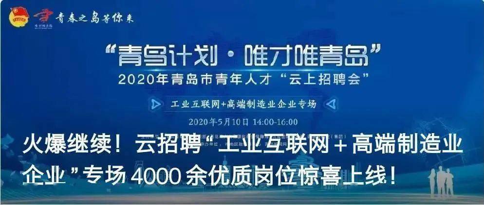 秦皇岛信息人才招聘，探索与未来展望